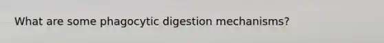 What are some phagocytic digestion mechanisms?