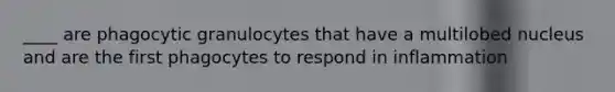 ____ are phagocytic granulocytes that have a multilobed nucleus and are the first phagocytes to respond in inflammation