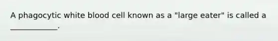 A phagocytic white blood cell known as a "large eater" is called a ____________.
