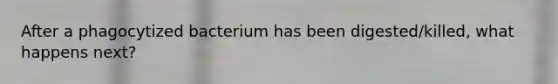 After a phagocytized bacterium has been digested/killed, what happens next?