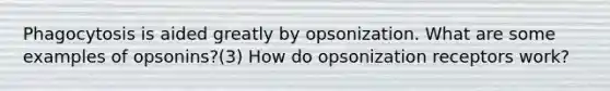 Phagocytosis is aided greatly by opsonization. What are some examples of opsonins?(3) How do opsonization receptors work?