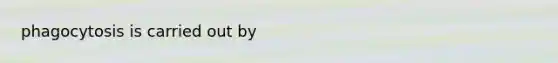 phagocytosis is carried out by