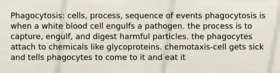 Phagocytosis: cells, process, sequence of events phagocytosis is when a white blood cell engulfs a pathogen. the process is to capture, engulf, and digest harmful particles. the phagocytes attach to chemicals like glycoproteins. chemotaxis-cell gets sick and tells phagocytes to come to it and eat it