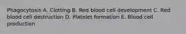 Phagocytosis A. Clotting B. Red blood cell development C. Red blood cell destruction D. Platelet formation E. Blood cell production