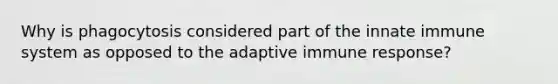 Why is phagocytosis considered part of the innate immune system as opposed to the adaptive immune response?