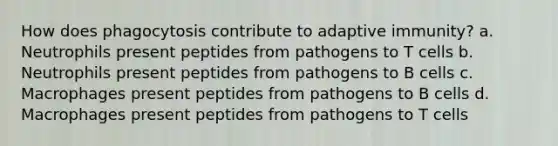 How does phagocytosis contribute to adaptive immunity? a. Neutrophils present peptides from pathogens to T cells b. Neutrophils present peptides from pathogens to B cells c. Macrophages present peptides from pathogens to B cells d. Macrophages present peptides from pathogens to T cells