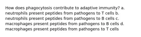 How does phagocytosis contribute to adaptive immunity? a. neutrophils present peptides from pathogens to T cells b. neutrophils present peptides from pathogens to B cells c. macrophages present peptides from pathogens to B cells d. macrophages present peptides from pathogens to T cells