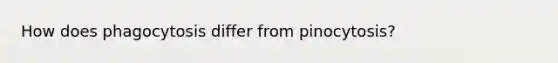 How does phagocytosis differ from pinocytosis?