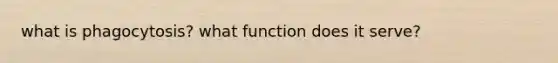 what is phagocytosis? what function does it serve?