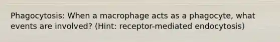 Phagocytosis: When a macrophage acts as a phagocyte, what events are involved? (Hint: receptor-mediated endocytosis)