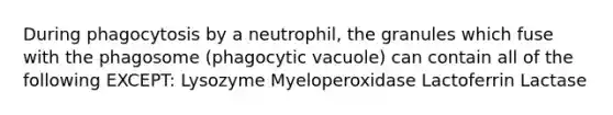 During phagocytosis by a neutrophil, the granules which fuse with the phagosome (phagocytic vacuole) can contain all of the following EXCEPT: Lysozyme Myeloperoxidase Lactoferrin Lactase