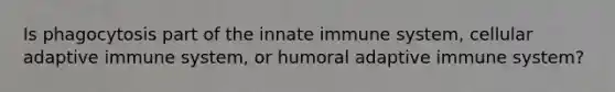 Is phagocytosis part of the innate immune system, cellular adaptive immune system, or humoral adaptive immune system?