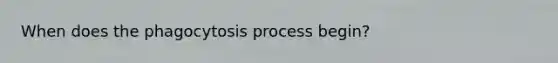 When does the phagocytosis process begin?