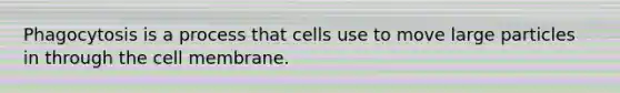 Phagocytosis is a process that cells use to move large particles in through the cell membrane.