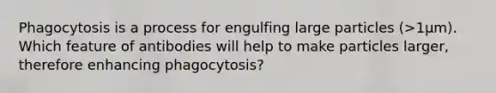 Phagocytosis is a process for engulfing large particles (>1μm). Which feature of antibodies will help to make particles larger, therefore enhancing phagocytosis?