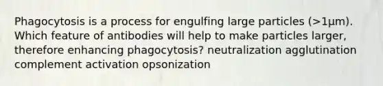 Phagocytosis is a process for engulfing large particles (>1μm). Which feature of antibodies will help to make particles larger, therefore enhancing phagocytosis? neutralization agglutination complement activation opsonization