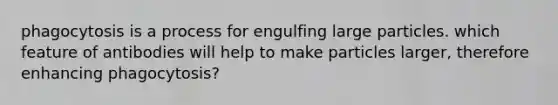 phagocytosis is a process for engulfing large particles. which feature of antibodies will help to make particles larger, therefore enhancing phagocytosis?
