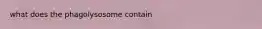 what does the phagolysosome contain