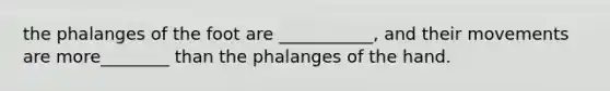 the phalanges of the foot are ___________, and their movements are more________ than the phalanges of the hand.