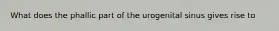 What does the phallic part of the urogenital sinus gives rise to