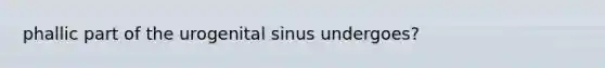 phallic part of the urogenital sinus undergoes?