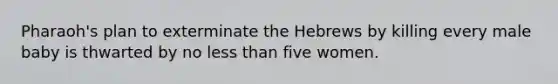 Pharaoh's plan to exterminate the Hebrews by killing every male baby is thwarted by no less than five women.