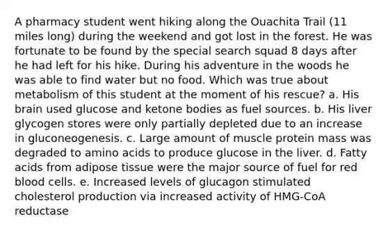 A pharmacy student went hiking along the Ouachita Trail (11 miles long) during the weekend and got lost in the forest. He was fortunate to be found by the special search squad 8 days after he had left for his hike. During his adventure in the woods he was able to find water but no food. Which was true about metabolism of this student at the moment of his rescue? a. His brain used glucose and <a href='https://www.questionai.com/knowledge/kR9thwvAYz-ketone-bodies' class='anchor-knowledge'>ketone bodies</a> as fuel sources. b. His liver glycogen stores were only partially depleted due to an increase in gluconeogenesis. c. Large amount of muscle protein mass was degraded to <a href='https://www.questionai.com/knowledge/k9gb720LCl-amino-acids' class='anchor-knowledge'>amino acids</a> to produce glucose in the liver. d. Fatty acids from adipose tissue were the major source of fuel for red blood cells. e. Increased levels of glucagon stimulated cholesterol production via increased activity of HMG-CoA reductase