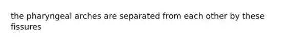 the pharyngeal arches are separated from each other by these fissures
