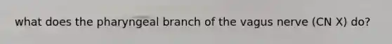 what does the pharyngeal branch of the vagus nerve (CN X) do?