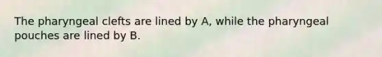 The pharyngeal clefts are lined by A, while the pharyngeal pouches are lined by B.