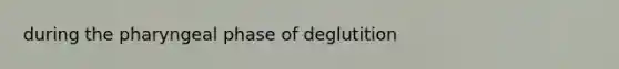 during the pharyngeal phase of deglutition