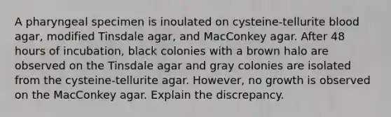 A pharyngeal specimen is inoulated on cysteine-tellurite blood agar, modified Tinsdale agar, and MacConkey agar. After 48 hours of incubation, black colonies with a brown halo are observed on the Tinsdale agar and gray colonies are isolated from the cysteine-tellurite agar. However, no growth is observed on the MacConkey agar. Explain the discrepancy.