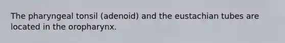 The pharyngeal tonsil (adenoid) and the eustachian tubes are located in the oropharynx.