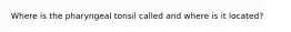 Where is the pharyngeal tonsil called and where is it located?