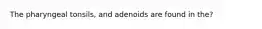 The pharyngeal tonsils, and adenoids are found in the?