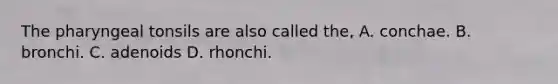 The pharyngeal tonsils are also called the, A. conchae. B. bronchi. C. adenoids D. rhonchi.