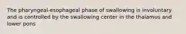 The pharyngeal-esophageal phase of swallowing is involuntary and is controlled by the swallowing center in the thalamus and lower pons