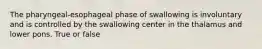 The pharyngeal-esophageal phase of swallowing is involuntary and is controlled by the swallowing center in the thalamus and lower pons. True or false