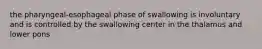 the pharyngeal-esophageal phase of swallowing is involuntary and is controlled by the swallowing center in the thalamus and lower pons