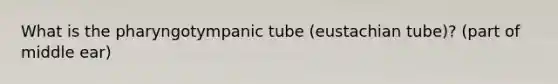 What is the pharyngotympanic tube (eustachian tube)? (part of middle ear)