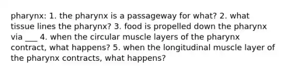 pharynx: 1. the pharynx is a passageway for what? 2. what tissue lines the pharynx? 3. food is propelled down the pharynx via ___ 4. when the circular muscle layers of the pharynx contract, what happens? 5. when the longitudinal muscle layer of the pharynx contracts, what happens?