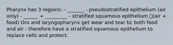 Pharynx has 3 regions: - _______ - pseudostratified epithelium (air only) - ______ + _________ - stratified squamous epithelium (air + food) Oro and laryngopharynx get wear and tear bc both food and air - therefore have a stratified squamous epithelium to replace cells and protect.