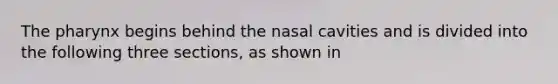 The pharynx begins behind the nasal cavities and is divided into the following three sections, as shown in