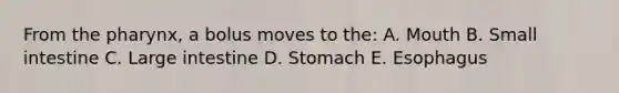 From <a href='https://www.questionai.com/knowledge/ktW97n6hGJ-the-pharynx' class='anchor-knowledge'>the pharynx</a>, a bolus moves to the: A. Mouth B. Small intestine C. Large intestine D. Stomach E. Esophagus