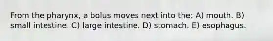 From the pharynx, a bolus moves next into the: A) mouth. B) small intestine. C) large intestine. D) stomach. E) esophagus.