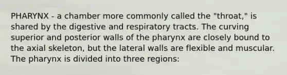 PHARYNX - a chamber more commonly called the "throat," is shared by the digestive and respiratory tracts. The curving superior and posterior walls of the pharynx are closely bound to the axial skeleton, but the lateral walls are flexible and muscular. The pharynx is divided into three regions: