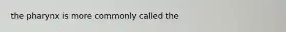 <a href='https://www.questionai.com/knowledge/ktW97n6hGJ-the-pharynx' class='anchor-knowledge'>the pharynx</a> is more commonly called the