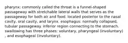 pharynx: commonly called the throat is a funnel-shaped passageway with stretchable lateral walls that serves as the passageway for both air and food. located posterior to the nasal cavity, oral cavity, and larynx. esophagus: normally collapsed, tubular passageway. inferior region connecting to the stomach. swallowing has three phases: voluntary, pharyngeal (involuntary) , and esophageal (involuntary).