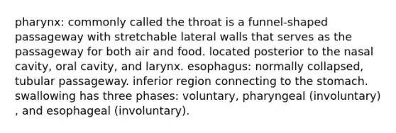 pharynx: commonly called the throat is a funnel-shaped passageway with stretchable lateral walls that serves as the passageway for both air and food. located posterior to the nasal cavity, oral cavity, and larynx. esophagus: normally collapsed, tubular passageway. inferior region connecting to the stomach. swallowing has three phases: voluntary, pharyngeal (involuntary) , and esophageal (involuntary).