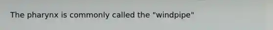 The pharynx is commonly called the "windpipe"